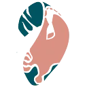 Nederlandse Kitesurf Vereniging logo
