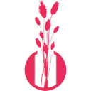 Quality Colors B.V. logo