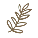 Borrèl & Groen Youth Matters logo