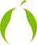 PEER Professional Excellence logo
