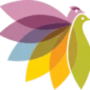 Pleyade logo