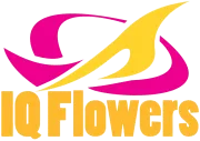 IQ Flowers logo