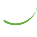 Balance Blended Learning logo