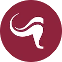 Flier Systems logo
