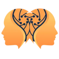 IANUS Project logo