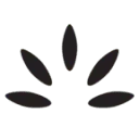Bright Loyalty BV logo