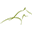 Green Valley Estate logo