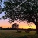 NLPXperience logo