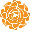 Dutch Rose Media logo