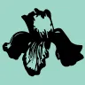 Stichting Lovely Leah Foundation logo
