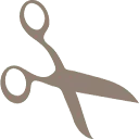 Hair AND Looks logo