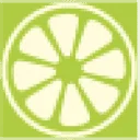 Logo van Lime Yellow : ICT-regie² voor zorgorganisaties