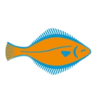 Platvis Holland B.V. logo