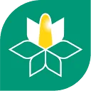 Willems Balgoy logo