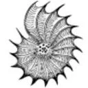 Deep Ecology Network logo