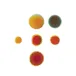 Fysiotherapie AND Beweegcentrum Maartensdijk logo
