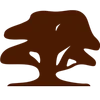 Traject Parket logo