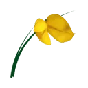 De Braampeel logo