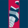 De Ruiter logo