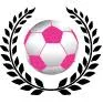 Stichting Football Makes It Happen logo