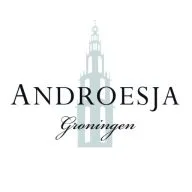 Androesja logo