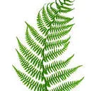 GOOD AND MOJO logo