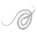 QVQ Holding BV logo