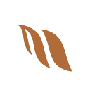 Senlyte logo