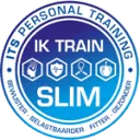ITS PT logo