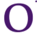 Obvious Management Consulting B.V. logo