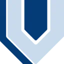 De Vries Surface Technologies logo