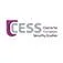 CESS: Centre for European Security Studies logo