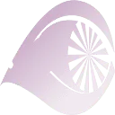 Van Essen Optiek optometrie AND orthoptie logo