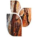Ribbonwood Graphic Design logo