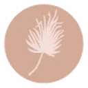 2Style Weddings AND Events logo