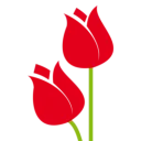 Sam van Schooten B.V. logo