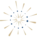 PSY-ray International BV logo