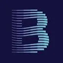 Brighter Signals BV logo
