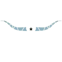 Longhorn Bar AND Grill logo