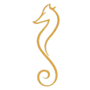 The Yachting Network logo