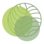 Huiting Uitvaartverzorging logo