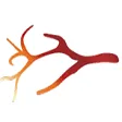 Vasculitis Expertise Center Groningen logo