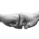 Van Lier Management AND Participaties B.V. logo