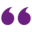 Gemeente Stein logo