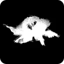 AFTERNATURE productions logo