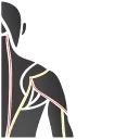 Let's Bodytec logo