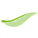 Zweeds Home logo