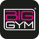 Big Gym logo