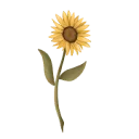 Via Trox Systeemtherapie logo