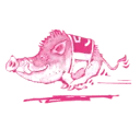 Stichting De Veluweloop logo